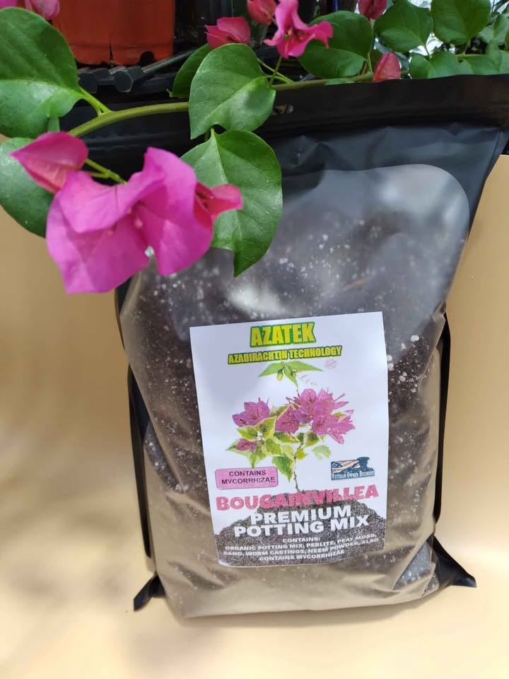 BOUGAINVILLEA POTTING MIX 1.5 GAL by AZATEK – Cash Your Greens