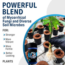 Load image into Gallery viewer, Great White Mycorrhizal Fungi, Beneficial Bacteria for Plant Growth, Root Stimulator, Concentrated 3-in-1 Formula by Plant Success (8 oz)