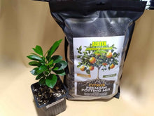 Load image into Gallery viewer, CITRUS POTTING MIX by AZATEK 1.5 GAL