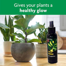 Load image into Gallery viewer, LEAF SHINE 4 OZ