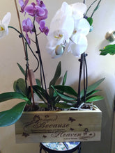 Load image into Gallery viewer, HEAVEN - WOODEN ENGRAVED PLANTERS- FREE SHIPPING