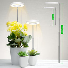 Load image into Gallery viewer, 2Heads Plant Grow Light, Full Spectrum LED Plant Light for Indoor Plants, 3 Colors Halo Grow Lights, Height Adjustable Small Grow Lamp with Auto On/Off Timer, 10 Dimming Levels Potted Plant Lights