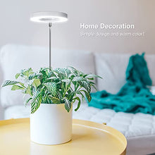 Load image into Gallery viewer, Grow Light, Lordem Full Spectrum LED Plant Light for Indoor Plants, Height Adjustable Growing Lamp with Auto On/Off Timer 4/8/12H , 4 Dimmable Brightness, Ideal for Small Plants, Pack of 2
