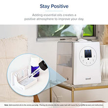 Load image into Gallery viewer, LEVOIT Humidifiers for Bedroom Large Room 6L Warm and Cool Mist for Families Plants with Built-in Humidity Sensor, Essential Oil, Air Vaporizer with Remote Control, Timer Setting, White