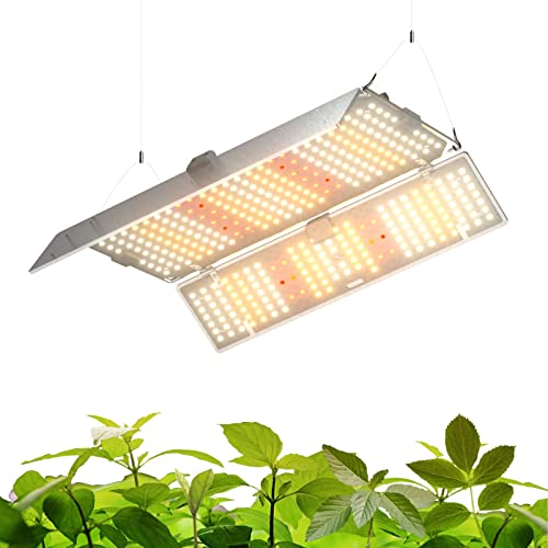 barrina led grow lights distance from plants Barrina BU 2000 LED Grow Light, Full Spectrum with IR, 4x4FT Coverage, – Cash Your Greens
