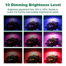 Load image into Gallery viewer, eWonLife Grow Lights for Indoor Plants Full Spectrum, Led Grow Lights Lamp, Height Adjustable Grow Light Strip, Automatic Timer, Ring-Shaped, 3 Spectrum Modes with White, Blue, Red, for Small Plants