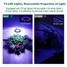Load image into Gallery viewer, eWonLife Grow Lights for Indoor Plants Full Spectrum, Led Grow Lights Lamp, Height Adjustable Grow Light Strip, Automatic Timer, Ring-Shaped, 3 Spectrum Modes with White, Blue, Red, for Small Plants