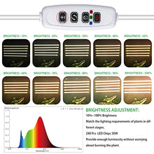 Load image into Gallery viewer, Five Strips Growing lamp, Full Spectrum Grow Light Strips for Indoor Plants with Auto ON/Off Timer, 10 Dimmable Levels & 3 Switch Modes, Led Grow Light for Hydroponics Succulent (Five Strips)