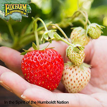 Load image into Gallery viewer, Fox Farm Happy Frog Organic Potting Soil Mix Indoor Outdoor Garden Plants, 51.4 Quart(2 cu ft) ( Bundled with Pearsons Protective Gloves)