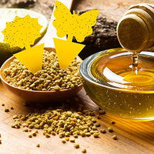 Load image into Gallery viewer, Mosqueda Fruit Fly Traps Fungus Gnat Traps Yellow Sticky Bug Traps 36 Pack Non-Toxic and Odorless for Indoor Outdoor Use Protect The Plant