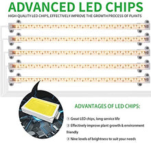 Load image into Gallery viewer, Five Strips Growing lamp, Full Spectrum Grow Light Strips for Indoor Plants with Auto ON/Off Timer, 10 Dimmable Levels & 3 Switch Modes, Led Grow Light for Hydroponics Succulent (Five Strips)