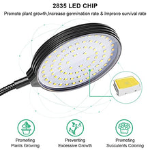 Load image into Gallery viewer, Grow Light 60W Sunlike Full Spectrum LED Plant Grow Lights with Timer Auto On/Off 4/8/12H Waterproof Grow Lamp for Indoor Plants, 5 Dimmable Levels, Adjustable Gooseneck