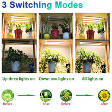 Load image into Gallery viewer, Five Strips Growing lamp, Full Spectrum Grow Light Strips for Indoor Plants with Auto ON/Off Timer, 10 Dimmable Levels & 3 Switch Modes, Led Grow Light for Hydroponics Succulent (Five Strips)