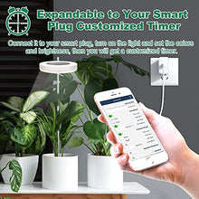 Load image into Gallery viewer, eWonLife Grow Lights for Indoor Plants Full Spectrum, Led Grow Lights Lamp, Height Adjustable Grow Light Strip, Automatic Timer, Ring-Shaped, 3 Spectrum Modes with White, Blue, Red, for Small Plants