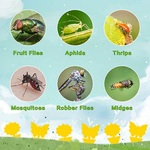 Load image into Gallery viewer, Mosqueda Fruit Fly Traps Fungus Gnat Traps Yellow Sticky Bug Traps 36 Pack Non-Toxic and Odorless for Indoor Outdoor Use Protect The Plant