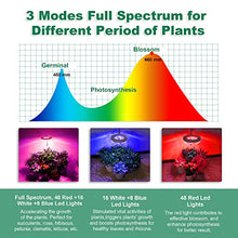 Load image into Gallery viewer, eWonLife Grow Lights for Indoor Plants Full Spectrum, Led Grow Lights Lamp, Height Adjustable Grow Light Strip, Automatic Timer, Ring-Shaped, 3 Spectrum Modes with White, Blue, Red, for Small Plants