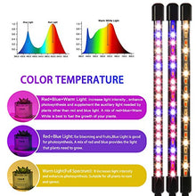 Load image into Gallery viewer, LEOTER Grow Light for Indoor Plants - Upgraded Version 80 LED Lamps with Full Spectrum & Red Blue Spectrum, 3/9/12H Timer, 10 Dimmable Level, Adjustable Gooseneck,3 Switch Modes