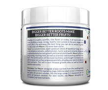 Load image into Gallery viewer, MYCO+ - The Best Mycorrhizal Root Booster for A Bigger, More Explosive Root Mass (200g)