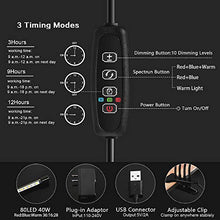 Load image into Gallery viewer, LEOTER Grow Light for Indoor Plants - Upgraded Version 80 LED Lamps with Full Spectrum & Red Blue Spectrum, 3/9/12H Timer, 10 Dimmable Level, Adjustable Gooseneck,3 Switch Modes