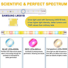 Load image into Gallery viewer, LED Plant Grow Lights Strips for Indoor Plants Full Spectrum with Auto ON & Off Timer, T5 Sunlike Grow Lights Bar Growing Lamps for Greenhouse Shelves Hydroponics Succulent, 4 Dimmable Levels