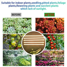 Load image into Gallery viewer, Five Strips Growing lamp, Full Spectrum Grow Light Strips for Indoor Plants with Auto ON/Off Timer, 10 Dimmable Levels & 3 Switch Modes, Led Grow Light for Hydroponics Succulent (Five Strips)