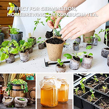 Load image into Gallery viewer, BN-LINK Durable Seedling Heat Mat Heating Pad 48" x 20.75" with Digital Thermostat Controller Combo Set Waterproof for Indoor Seed Starting and Plant Germination