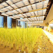 Load image into Gallery viewer, Barrina BU 2000 LED Grow Light, Full Spectrum with IR, 4x4FT Coverage, Dimmable, Adjustable Light Panel, 720 LEDs, High PPFD, Plant Grow Light for Indoor Plants Seedling Growing Flowering Fruiting