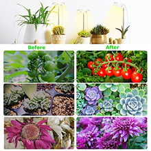 Load image into Gallery viewer, 2Heads Plant Grow Light, Full Spectrum LED Plant Light for Indoor Plants, 3 Colors Halo Grow Lights, Height Adjustable Small Grow Lamp with Auto On/Off Timer, 10 Dimming Levels Potted Plant Lights