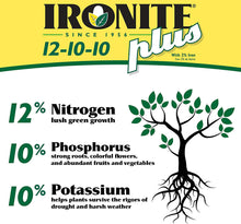 Load image into Gallery viewer, IRONITE PLUS