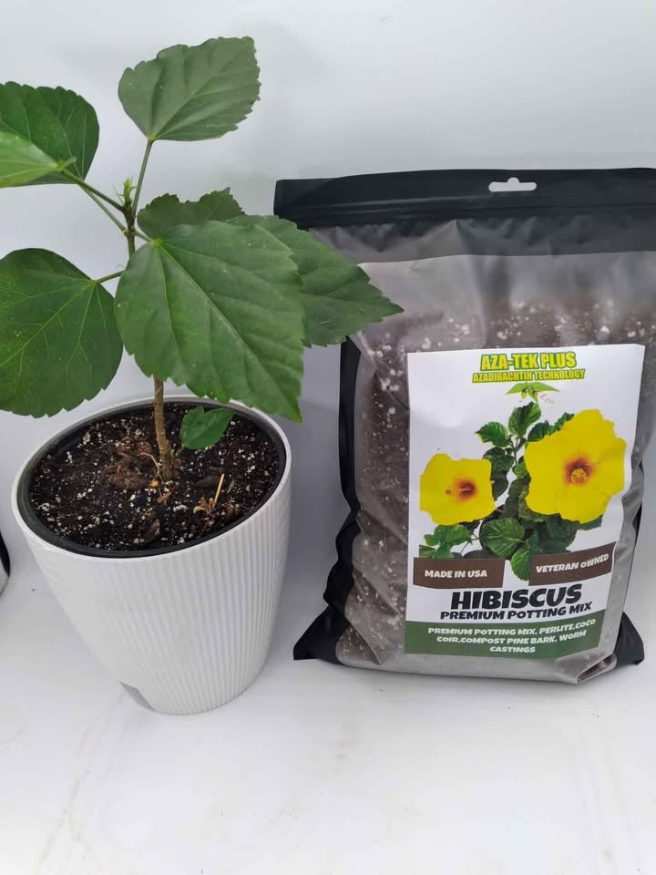 HIBISCUS PREMIUM POTTING MIX