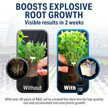 Load image into Gallery viewer, Great White Mycorrhizal Fungi, Beneficial Bacteria for Plant Growth, Root Stimulator, Concentrated 3-in-1 Formula by Plant Success (8 oz)
