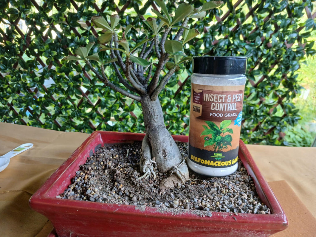 INSECT & PEST CONTROL - DIATOMACEOUS EARTH