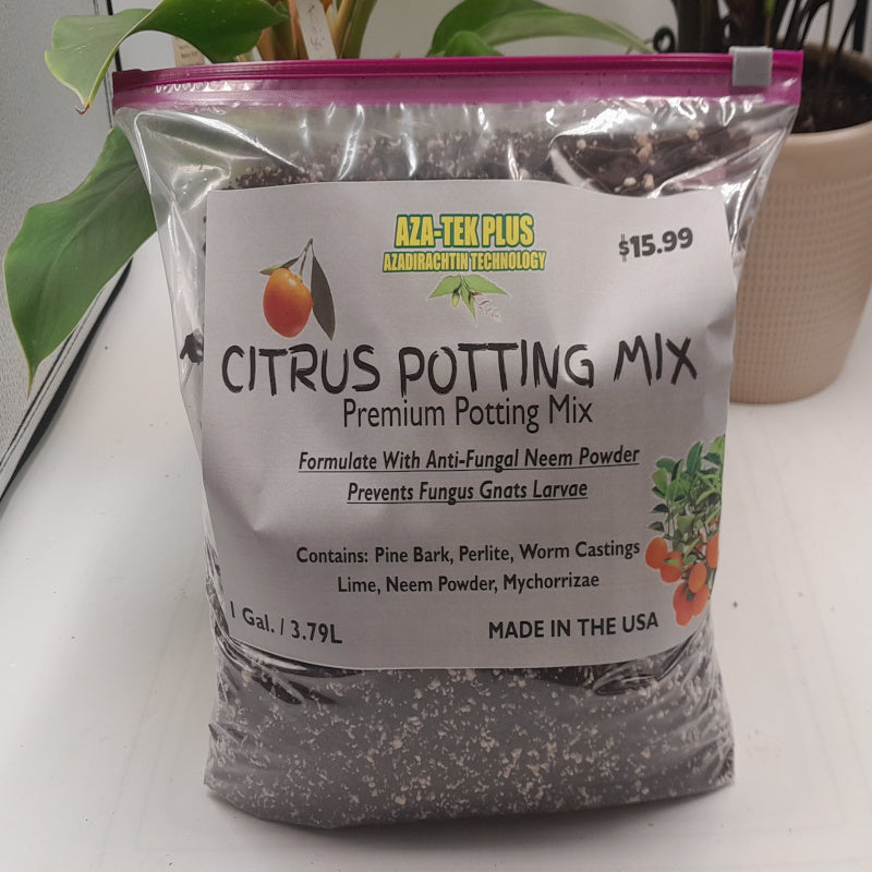 CITRUS POTTING MIX by AZATEK