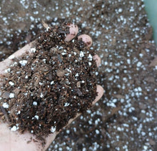 Load image into Gallery viewer, PLANT  RESCUE MIX  1.5 GALLON
