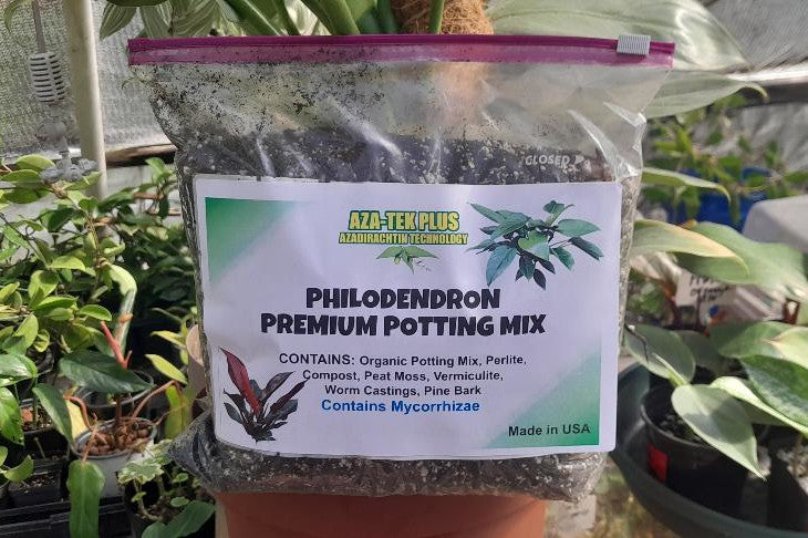 PHILODENDRON PREMIUM POTTING MIX