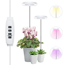 Load image into Gallery viewer, 2Heads Plant Grow Light, Full Spectrum LED Plant Light for Indoor Plants, 3 Colors Halo Grow Lights, Height Adjustable Small Grow Lamp with Auto On/Off Timer, 10 Dimming Levels Potted Plant Lights
