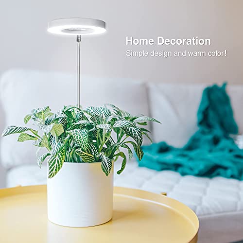 Grow Light, Lordem Full Spectrum LED Plant Light for Indoor Plants, He –  Cash Your Greens