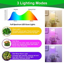 Load image into Gallery viewer, 2Heads Plant Grow Light, Full Spectrum LED Plant Light for Indoor Plants, 3 Colors Halo Grow Lights, Height Adjustable Small Grow Lamp with Auto On/Off Timer, 10 Dimming Levels Potted Plant Lights
