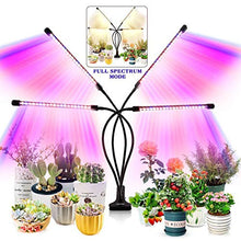 Load image into Gallery viewer, LEOTER Grow Light for Indoor Plants - Upgraded Version 80 LED Lamps with Full Spectrum &amp; Red Blue Spectrum, 3/9/12H Timer, 10 Dimmable Level, Adjustable Gooseneck,3 Switch Modes
