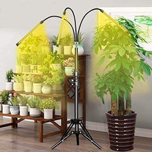 Load image into Gallery viewer, Grow Light Abonnylv 60W Led Tri Head Floor Plant Lights for Indoor Plants with Stand Full Spectrum Lamps Sunlike for Gardening Houseplants,Tripod Standing Adjustable 15-48 in &amp; 3 Modes
