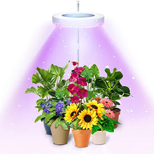 Load image into Gallery viewer, eWonLife Grow Lights for Indoor Plants Full Spectrum, Led Grow Lights Lamp, Height Adjustable Grow Light Strip, Automatic Timer, Ring-Shaped, 3 Spectrum Modes with White, Blue, Red, for Small Plants
