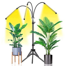 Load image into Gallery viewer, Grow Light Abonnylv 60W Led Tri Head Floor Plant Lights for Indoor Plants with Stand Full Spectrum Lamps Sunlike for Gardening Houseplants,Tripod Standing Adjustable 15-48 in &amp; 3 Modes
