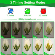 Load image into Gallery viewer, 2Heads Plant Grow Light, Full Spectrum LED Plant Light for Indoor Plants, 3 Colors Halo Grow Lights, Height Adjustable Small Grow Lamp with Auto On/Off Timer, 10 Dimming Levels Potted Plant Lights
