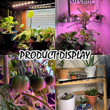 Load image into Gallery viewer, LEOTER Grow Light for Indoor Plants - Upgraded Version 80 LED Lamps with Full Spectrum &amp; Red Blue Spectrum, 3/9/12H Timer, 10 Dimmable Level, Adjustable Gooseneck,3 Switch Modes
