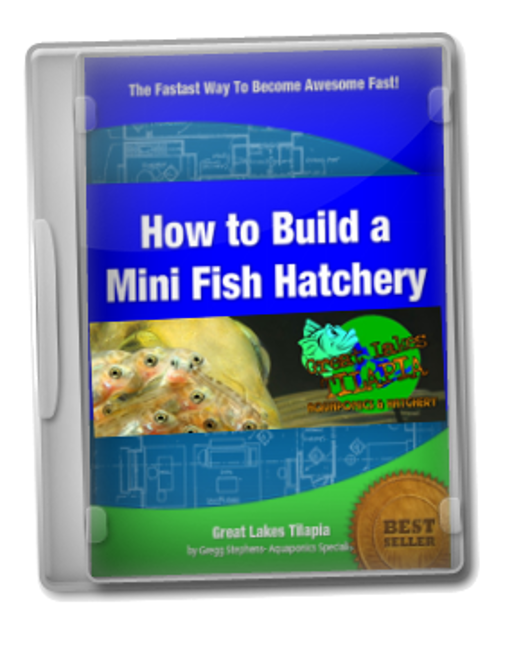 HOW TO BUILD A FISH HATCHERY By Gregg Stephens