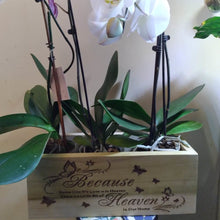 Load image into Gallery viewer, HEAVEN - WOODEN ENGRAVED PLANTERS- FREE SHIPPING
